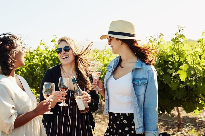 Winelands Explore Full Day Tour: Franschhoek, Paarl, Stellenbosch - Photo 1 of 25